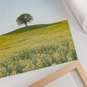 Bilder poster Einsamer Baum