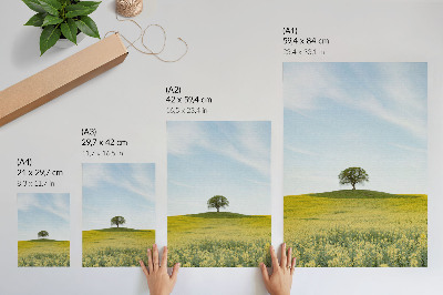 Bilder poster Einsamer Baum