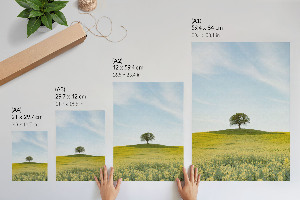 Bilder poster Einsamer Baum