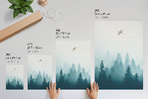 Kunstdruck poster Ein Vogel im Flug