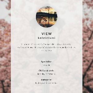 Kunstdruck leinwand Frühlingslaterne