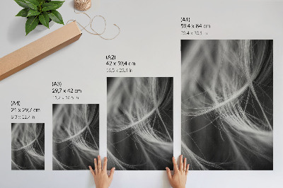 Bilder poster Verfilztes Haar