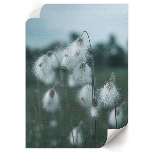 Poster kunstdruck Grasohren