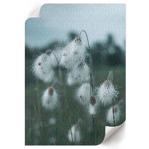 Poster kunstdruck Grasohren