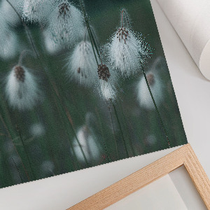 Poster kunstdruck Grasohren