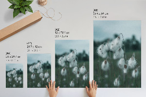 Poster kunstdruck Grasohren