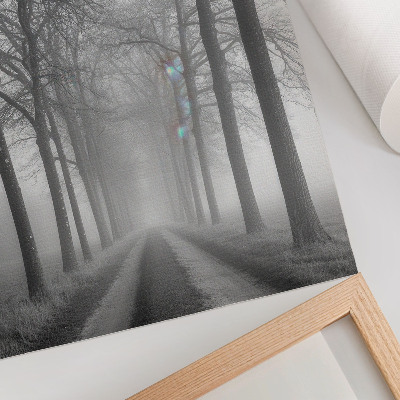 Bilder poster Nebel auf der Straße