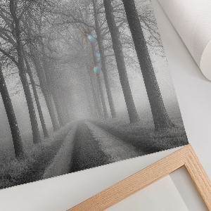 Bilder poster Nebel auf der Straße