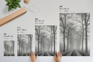 Bilder poster Nebel auf der Straße