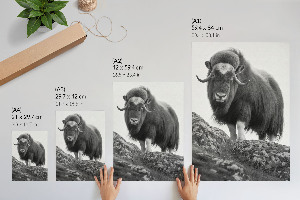 Poster kunstdruck Büffel auf dem Hügel