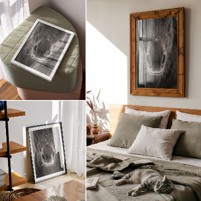 Bilder poster Pferd und Schnee