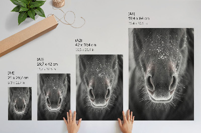 Bilder poster Pferd und Schnee