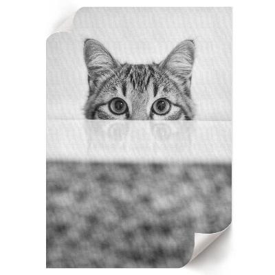 Poster kunstdruck Katzenporträt