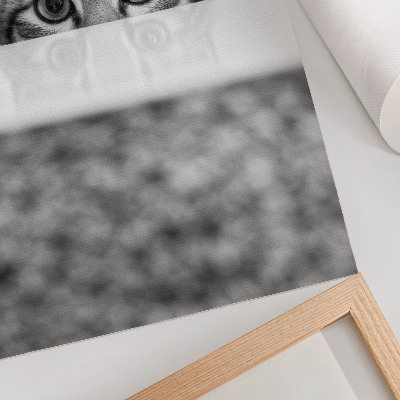 Poster kunstdruck Katzenporträt