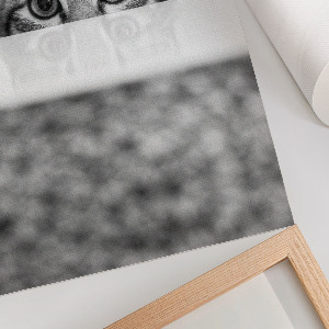 Poster kunstdruck Katzenporträt