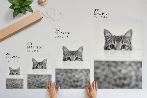 Poster kunstdruck Katzenporträt