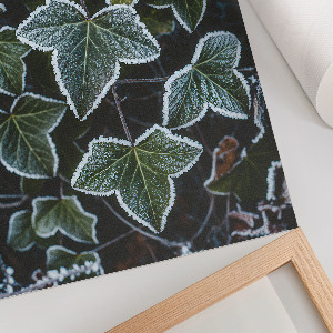 Kunstdruck poster Gefrorene Blätter