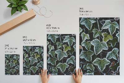 Kunstdruck poster Gefrorene Blätter