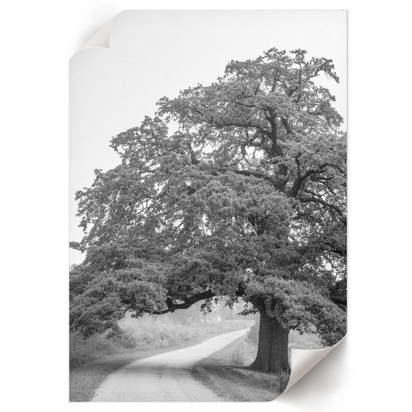 Poster leinwand Monumentaler Baum