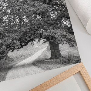 Poster leinwand Monumentaler Baum