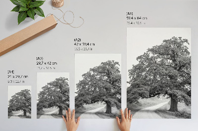 Poster leinwand Monumentaler Baum