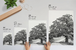 Poster leinwand Monumentaler Baum
