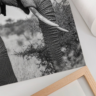 Retro poster Elefant im Profil