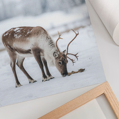 Poster leinwand Winterrentier
