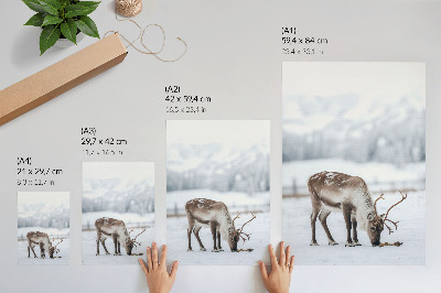 Poster leinwand Winterrentier