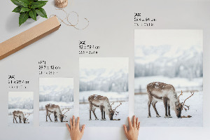 Poster leinwand Winterrentier