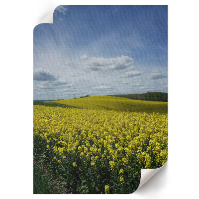 Kunstdruck poster Rapsfelder