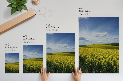Kunstdruck poster Rapsfelder
