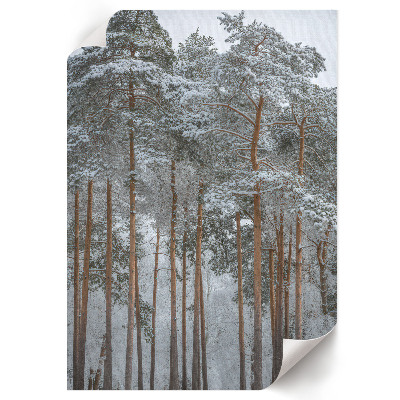 Poster auf leinwand Waldwinter