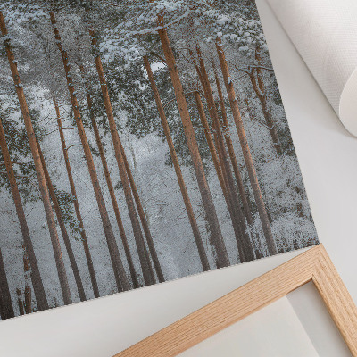 Poster auf leinwand Waldwinter