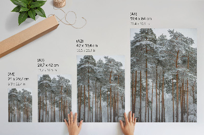 Poster auf leinwand Waldwinter