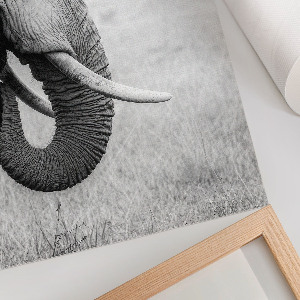 Kunstdruck leinwand Afrikanischer Elefant