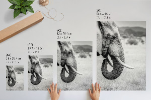 Kunstdruck leinwand Afrikanischer Elefant