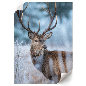 Poster leinwand Hirsche im Winter
