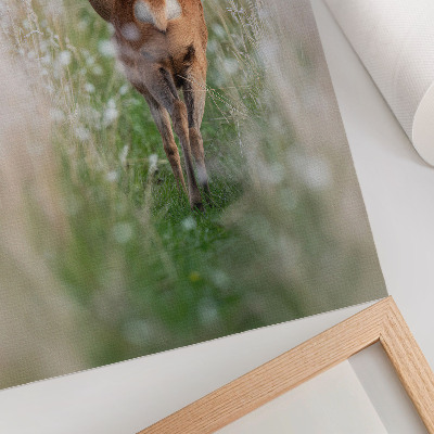 Poster kunstdruck Hirschnatur