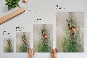 Poster kunstdruck Hirschnatur