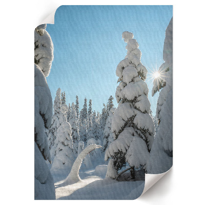 Wand poster Nadelwald im Winter