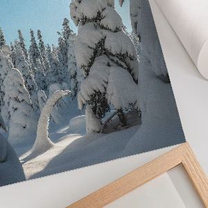 Wand poster Nadelwald im Winter