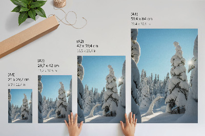 Wand poster Nadelwald im Winter