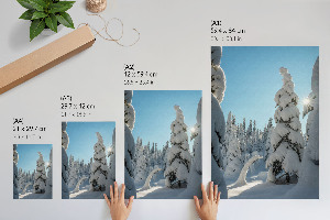 Wand poster Nadelwald im Winter