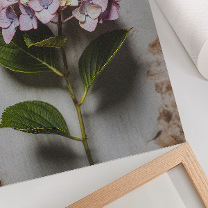 Poster leinwand Rosa Hortensie