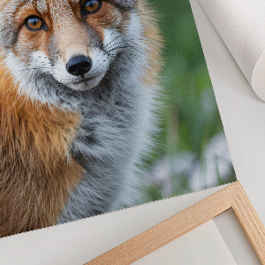 Poster kunstdruck Fuchsporträt