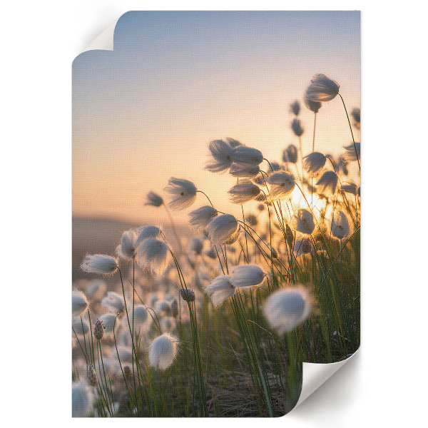 Kunstdruck poster Romantische Landschaft