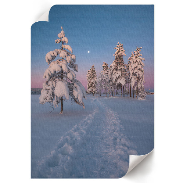 Poster auf Leinwand mit Winterlandschaft
