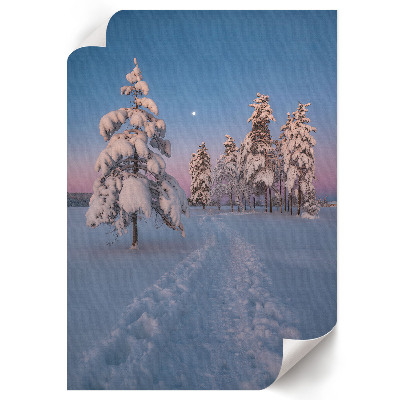 Poster auf leinwand Winterlandschaft