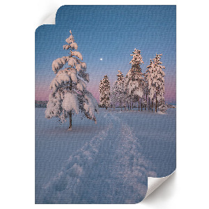 Poster auf Leinwand mit Winterlandschaft
